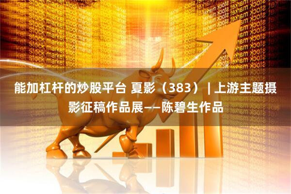 能加杠杆的炒股平台 夏影（383） | 上游主题摄影征稿作品展——陈碧生作品