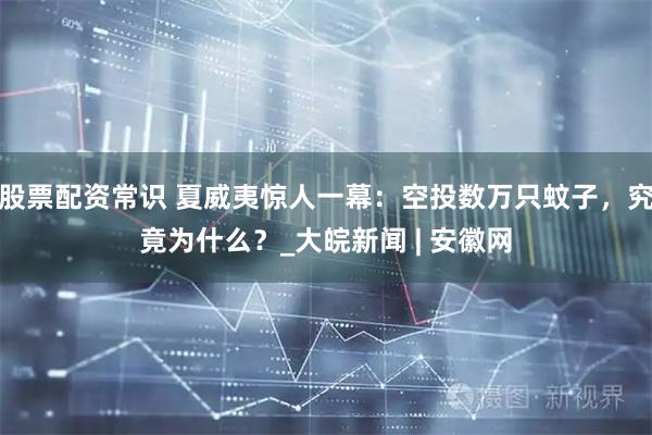 股票配资常识 夏威夷惊人一幕：空投数万只蚊子，究竟为什么？_大皖新闻 | 安徽网